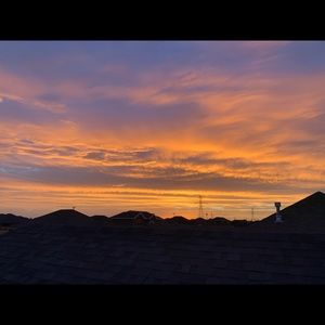 Meet your Posher, Rylie